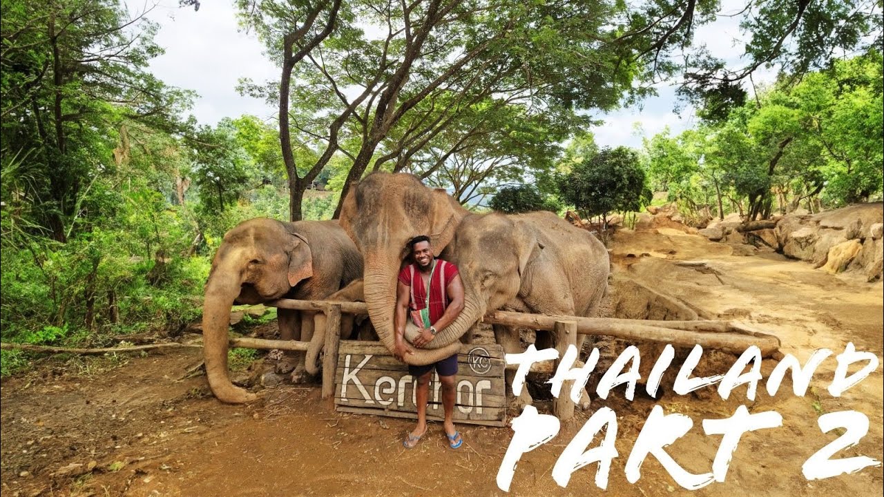 Black British Boy In Thailand Part 2 🇹🇭 | MEETING THE CHIANG MAI ELEPHANTS