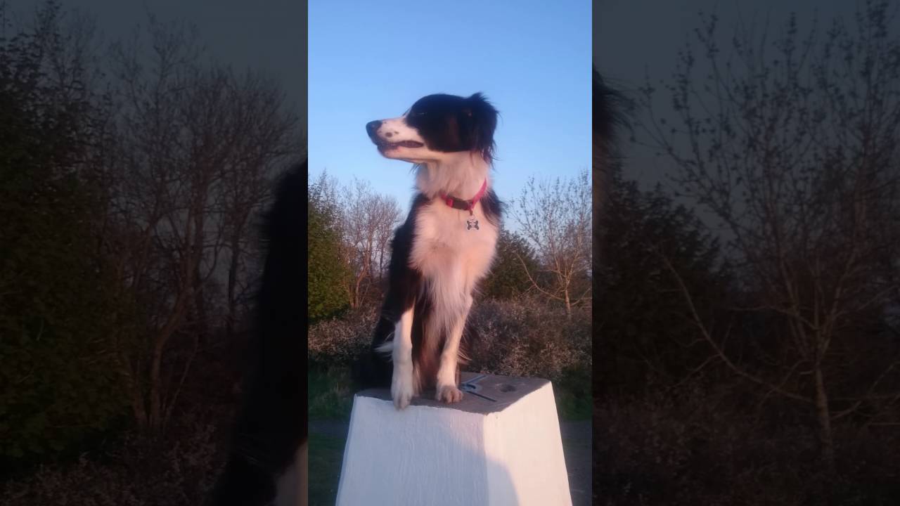 Tess Salute on Perth walk