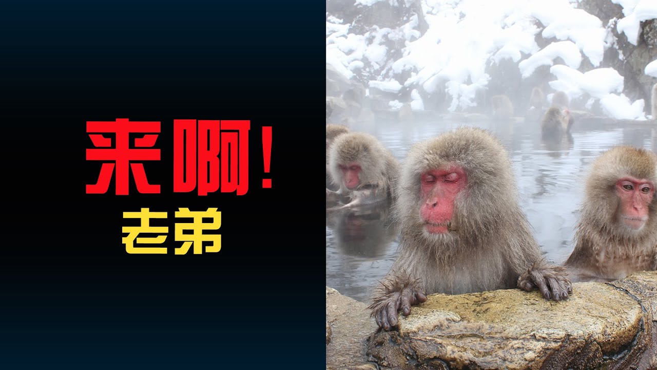 另类的泡澡方式却成为了一种“流氓”文化——混浴