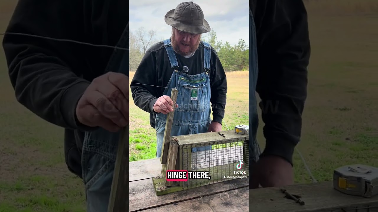 Squirrel Live Trap