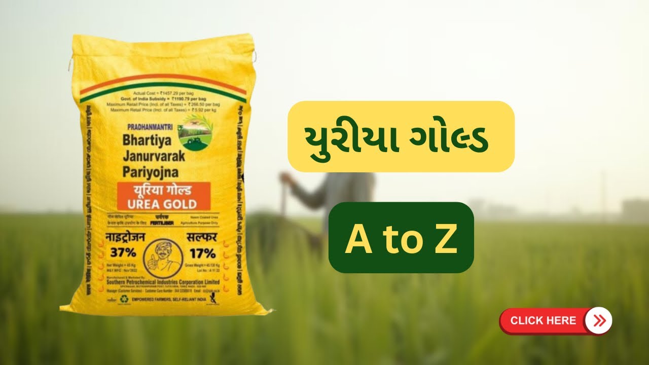 યુરિયા ગોલ્ડના ફાયદા | નાઈટ્રોજન ખાતરનું આધુનિક સ્વરૂપ | A to Z| Krushi Darshak