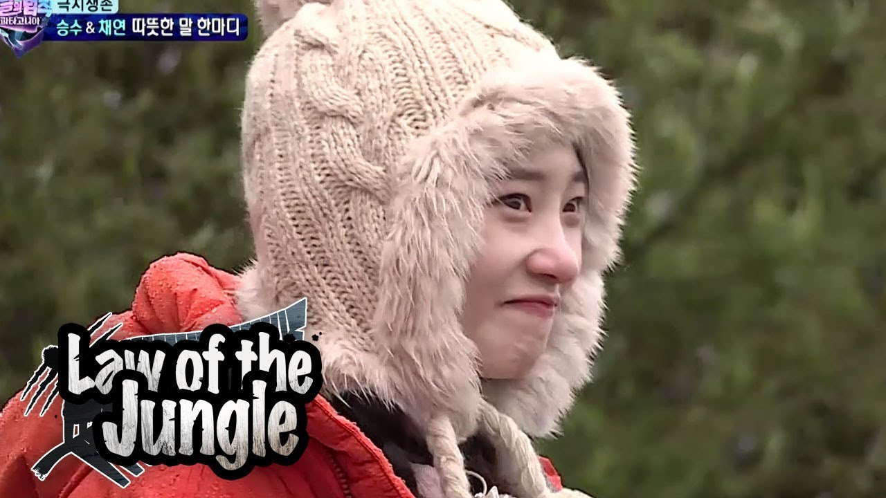 DIA Chaeyeon always sorry to her parents [Law of the Jungle Ep 304]
