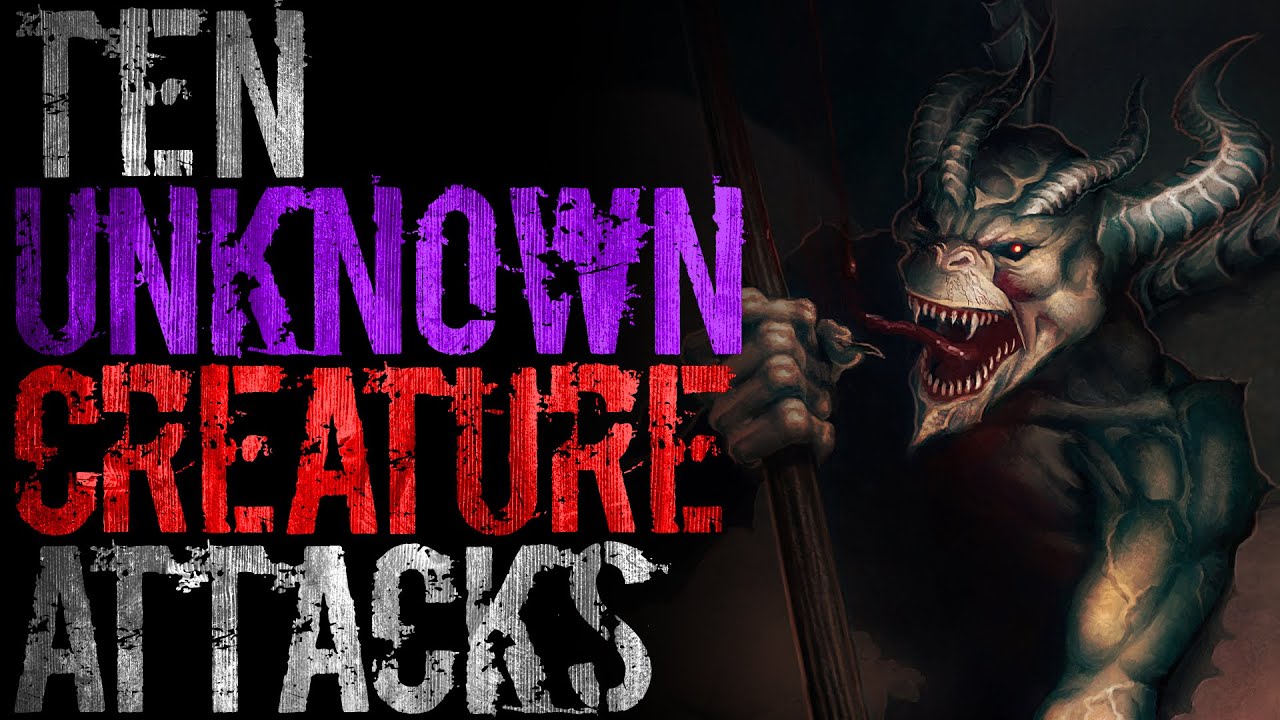 10 Times Unexplained Creatures ATTACKED!