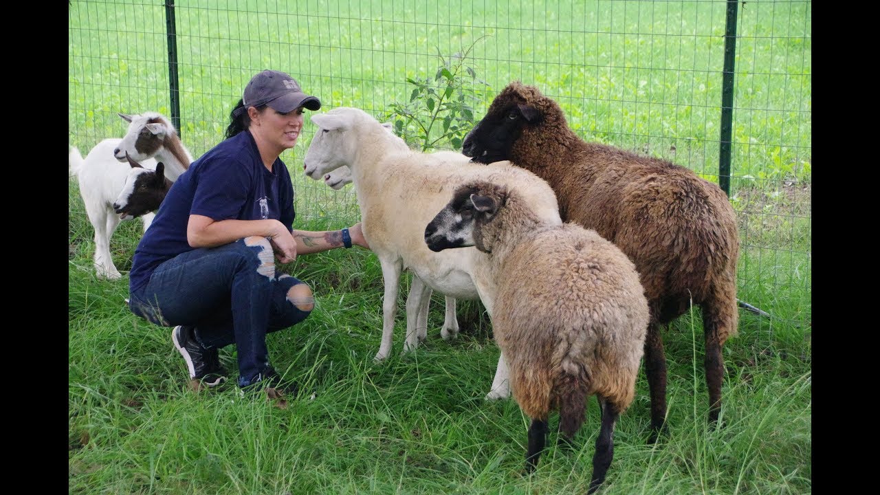 Farm Life, City Living - St. Joseph Center of Arkansas