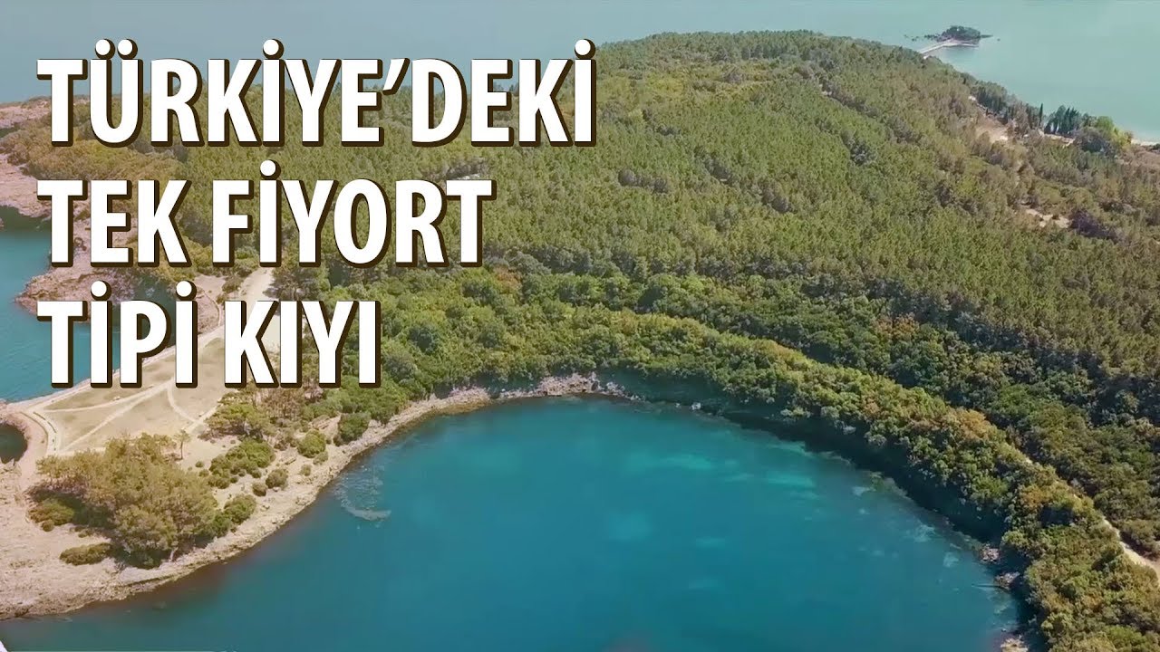 T&uuml;rkiye'deki Tek Fiyort Tipi Kıyı: Hamsilos Koyu
