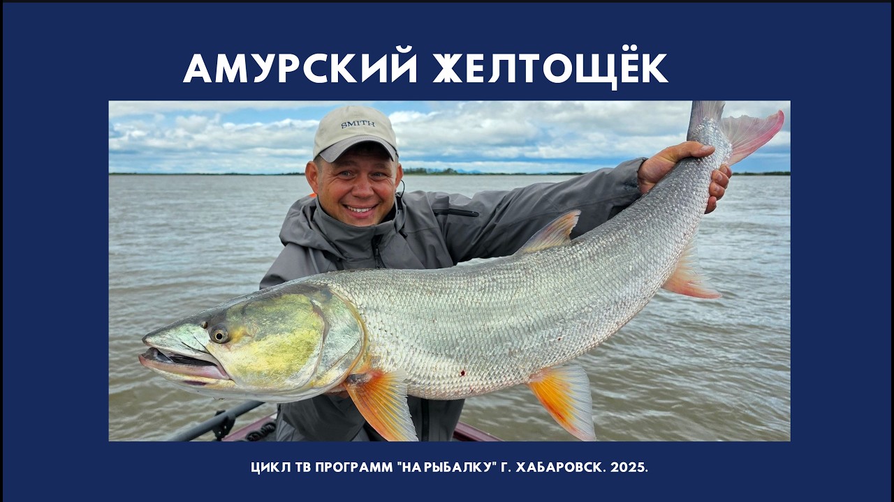 Амурский Желтощек