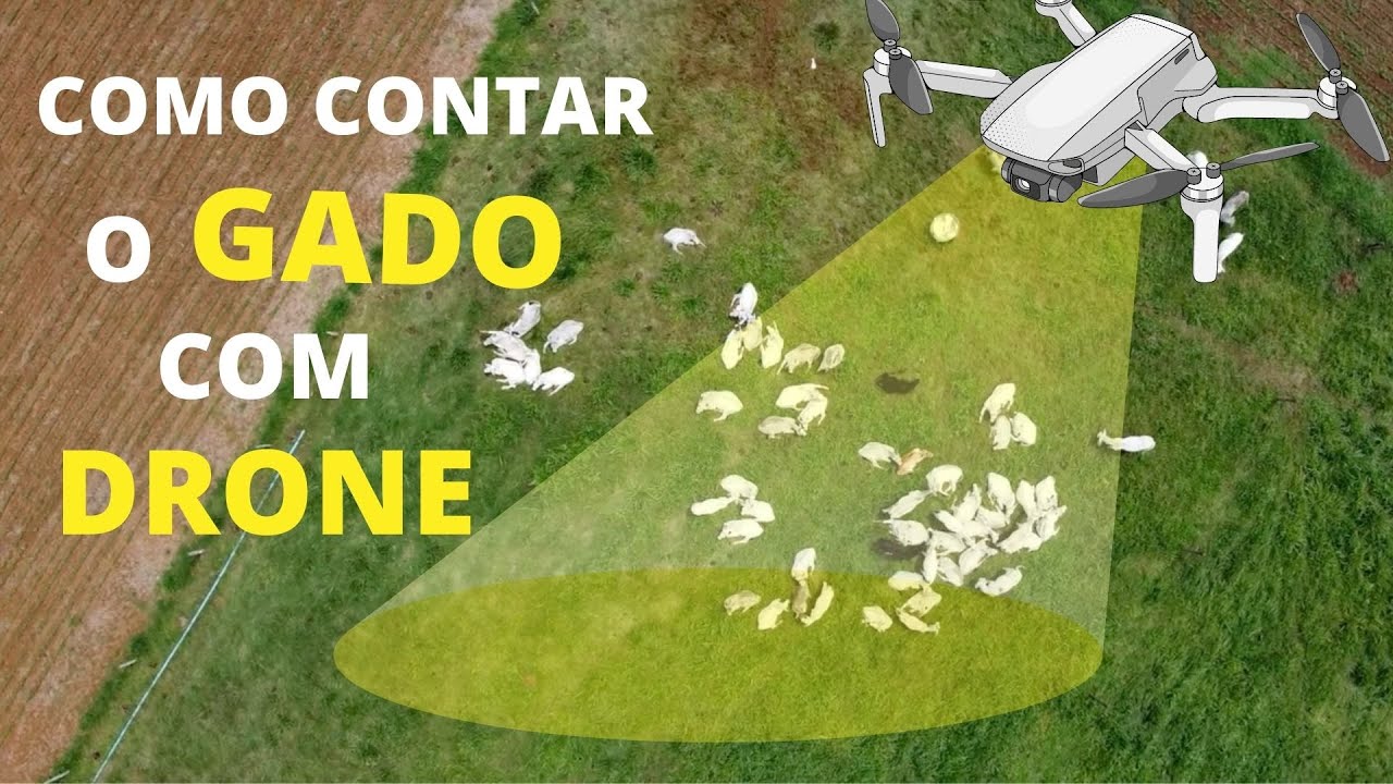 COMO CONTAR O  GADO COM O APLICATIVO