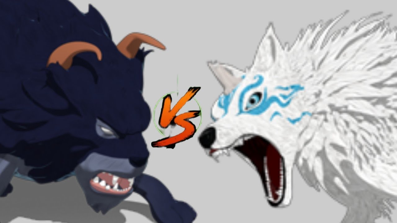 CİLLE KABKABA VS BUZOR