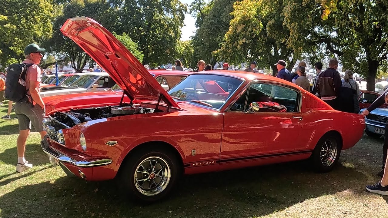 2026 Tassie Mustang Spectacular Parliament House Lawns, Hobart, Tasmania February 21st 2026