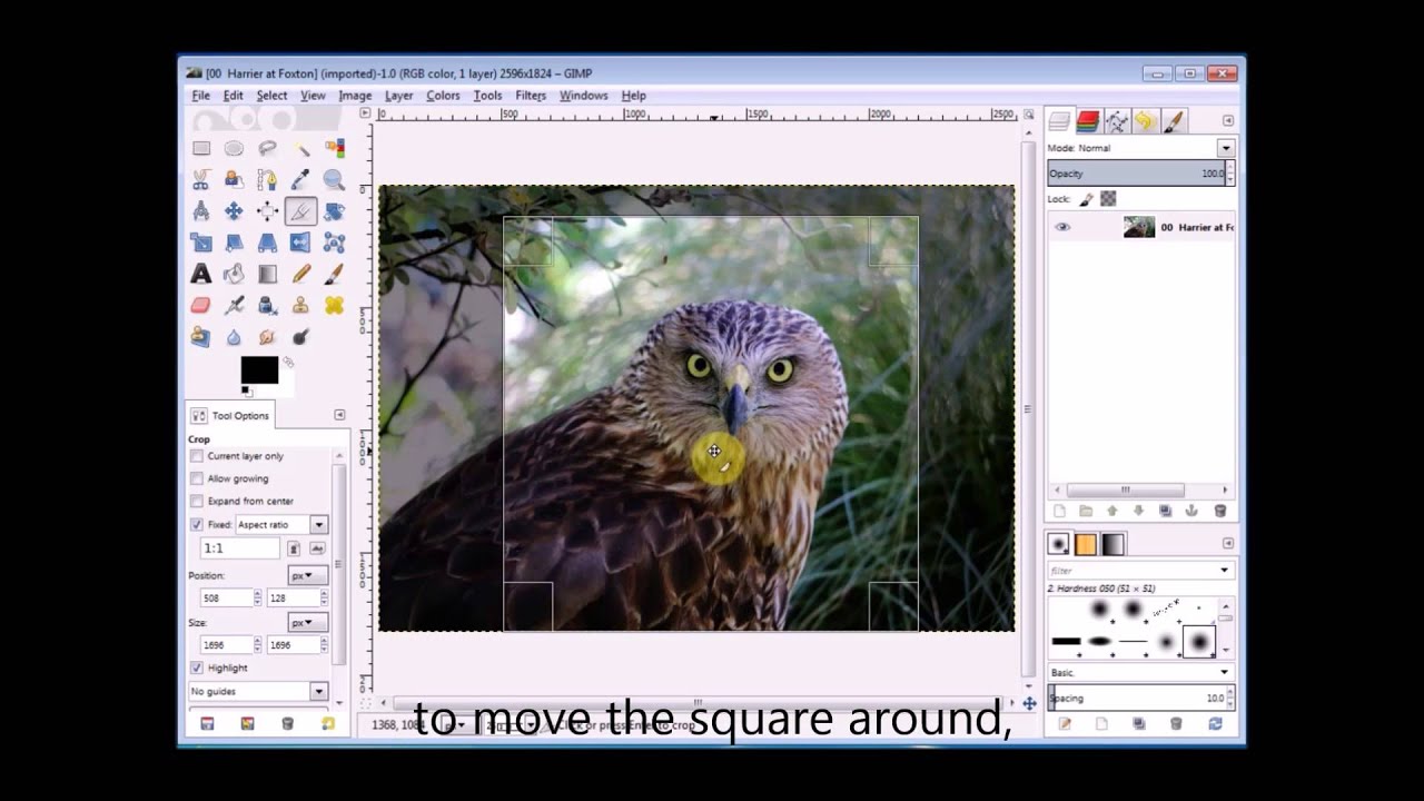 crop a rectangle photo square, using gimp