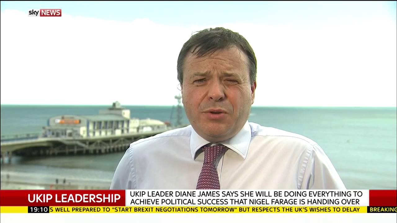 UKIP donor Arron Banks on the party's new leader