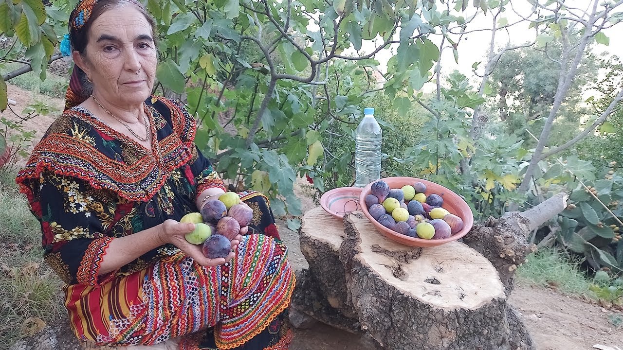 kabylie - Cueillette Des Figues - La vie quotidienne à la campagne , village tagragra à ath douala