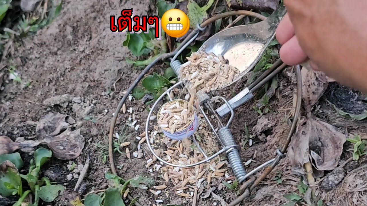 กับ10หลัง จะได้กี่ตัว มาลุ้นกันครับ