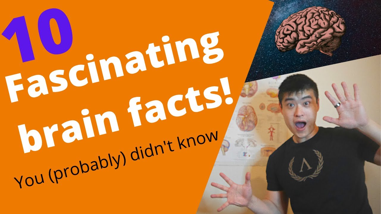 10 FASCINATING BRAIN FACTS YOU (probably) DIDN'T ALREADY KNOW!