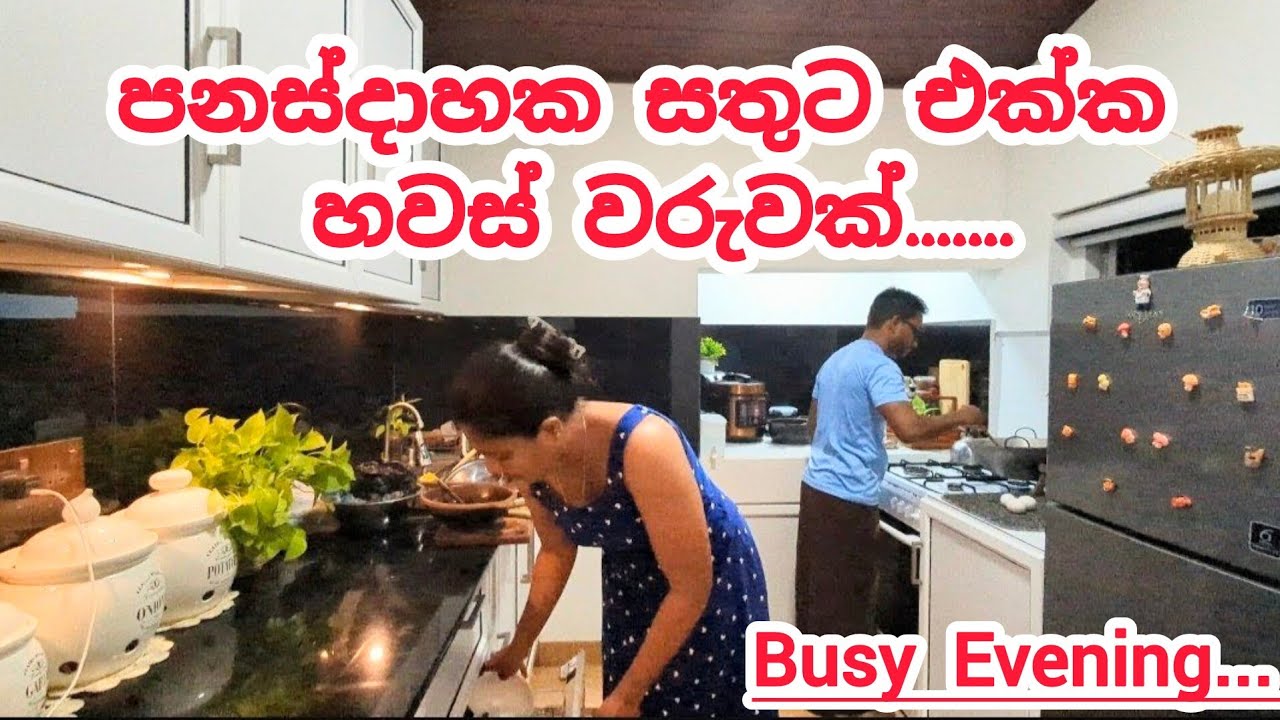 වැඩ ගොඩක් එක්ක ..සතුටින්ම ගෙවපු හවසක් || Busy & Happy with Us ||