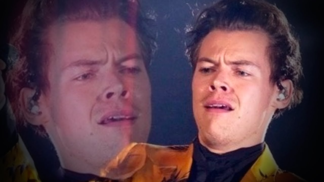 one direction and directioners as famous memes