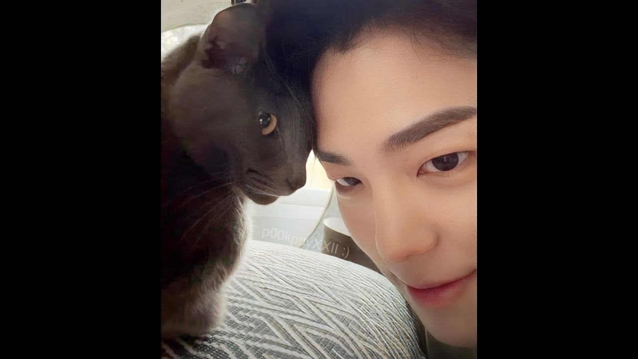 Kim Mingue IG Live with his cute cats [cut] 20231122