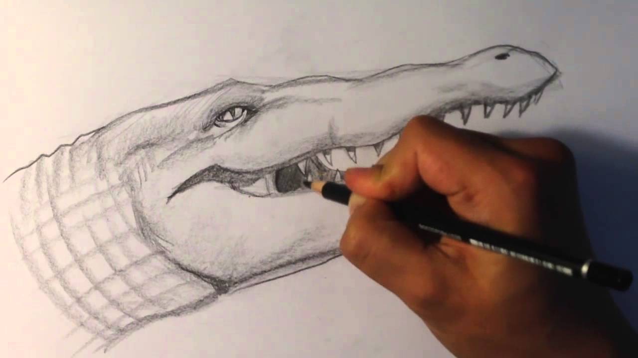 How to Draw a Crocodile - Draw Fantasy Art