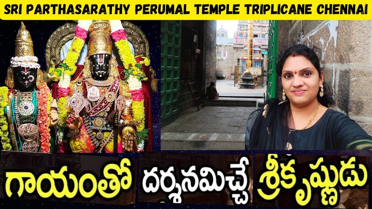 History and Significance of Parthasarathy Perumal Temple Triplicane Chennai | Vlog | Temple Tour
