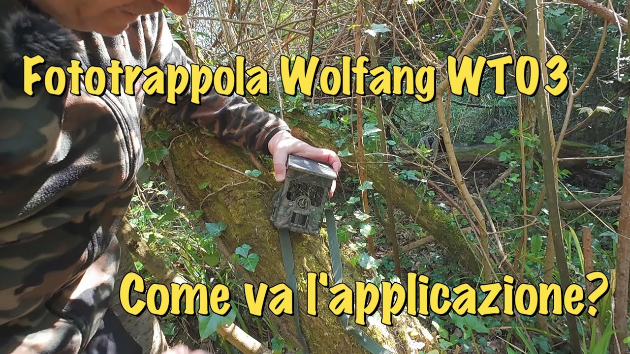 Fototrappola Wolfang WT03 Come funziona l'Applicazione? Scopriamolo insieme!
