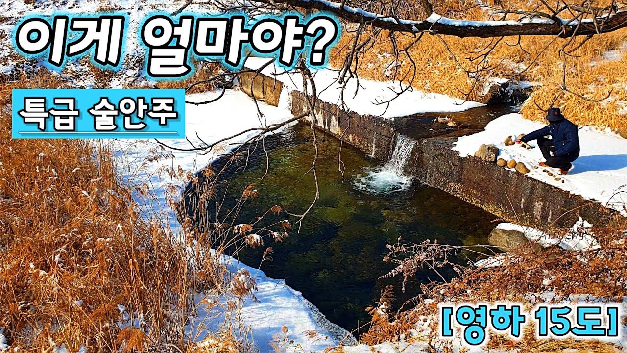 값비싼 특급 술안주 바글바글 여기 다 모였네! 영하15도 안주사냥 부모님께 보양식을 대접하자 자급자족 낚시여행 겨울사냥