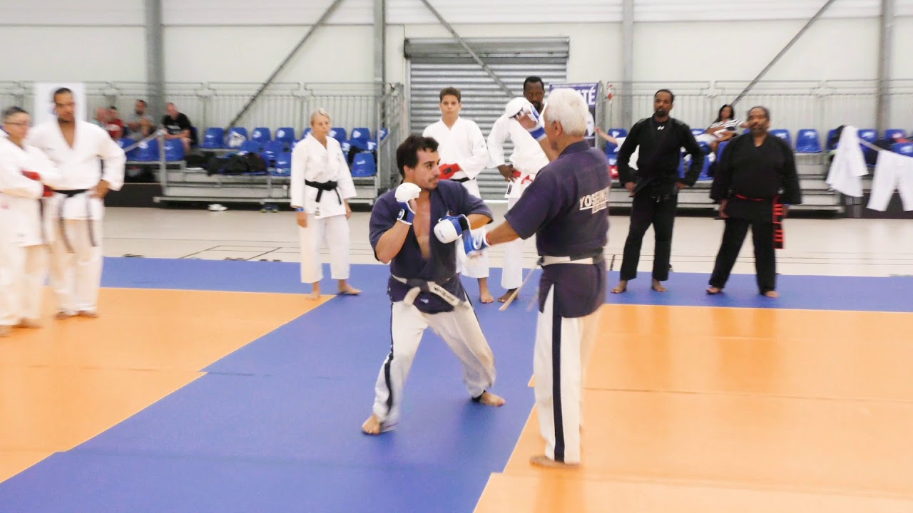YoseikanBudoMasterKlass2018