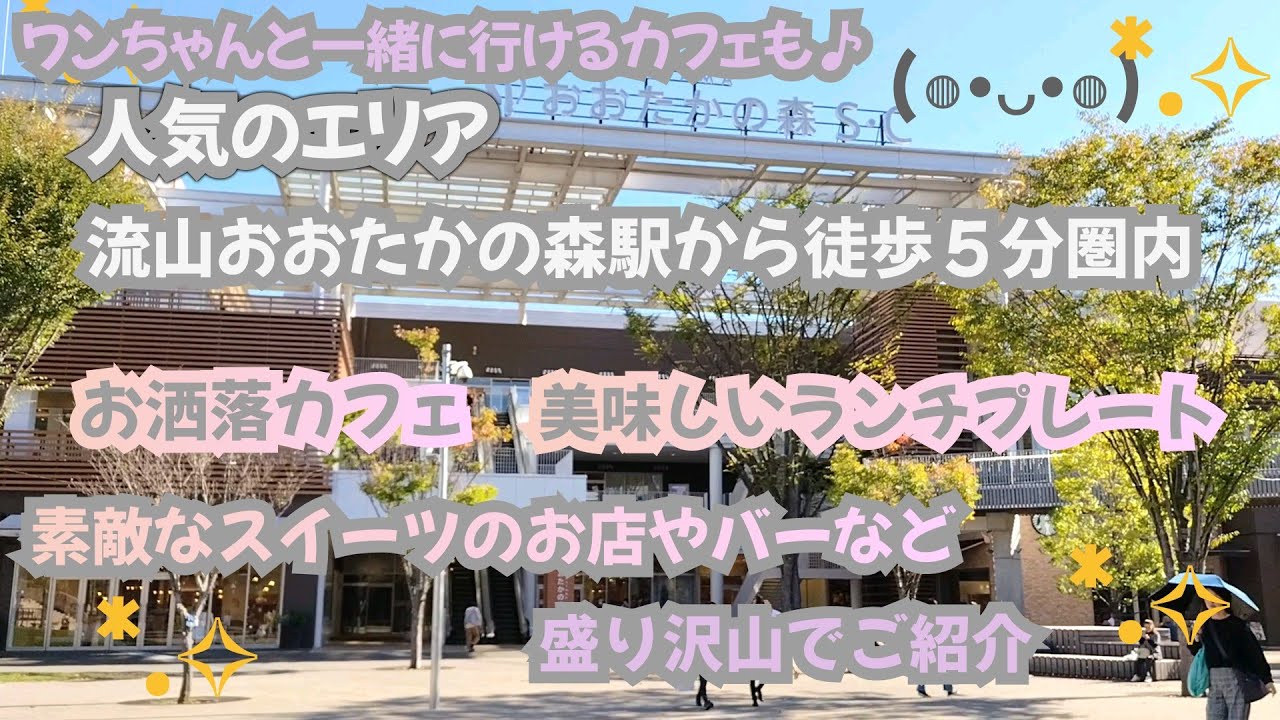 流山おおたかの森駅から徒歩５分圏内を散策💐美味しいランチ🍀お洒落カフェ🍀バー🍀グリーンショップetc🍹