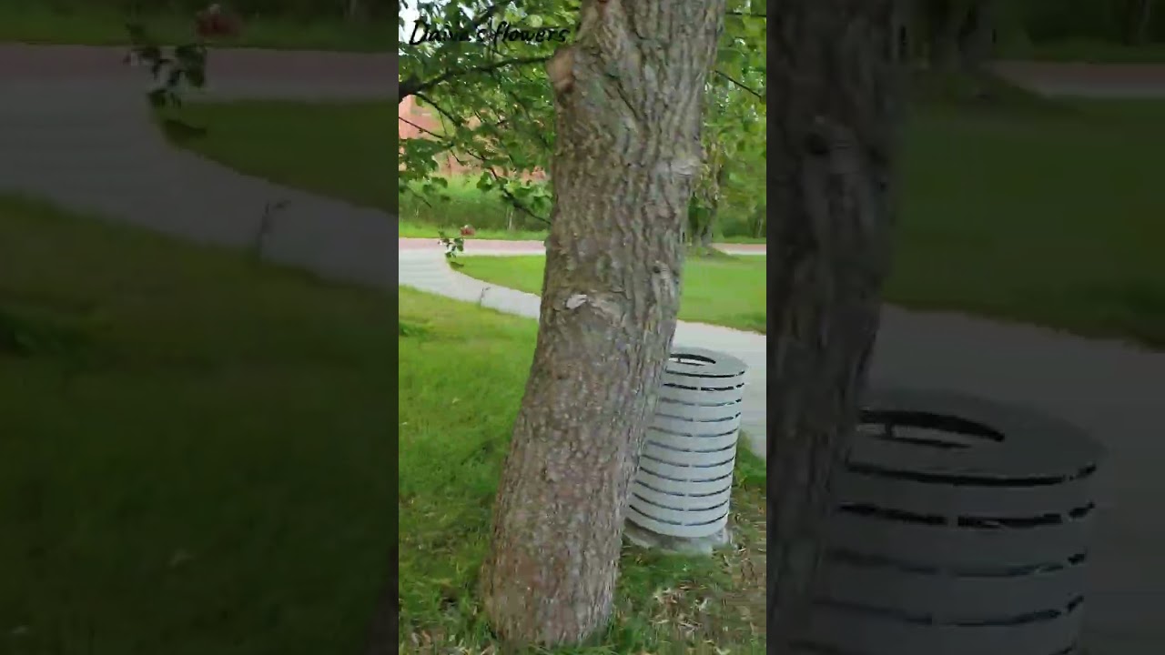 Pasivaikščiojimas 😘Прогулка
