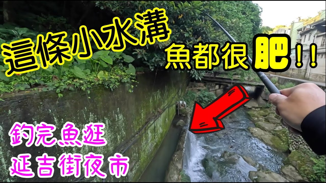 小水溝又是巨物拉不停  今天每隻都很肥 看完手都養了 釣完魚逛土城最熱鬧延吉街夜市 #溪釣 #溪釣線組 #溪釣紅貓 #溪釣石濱