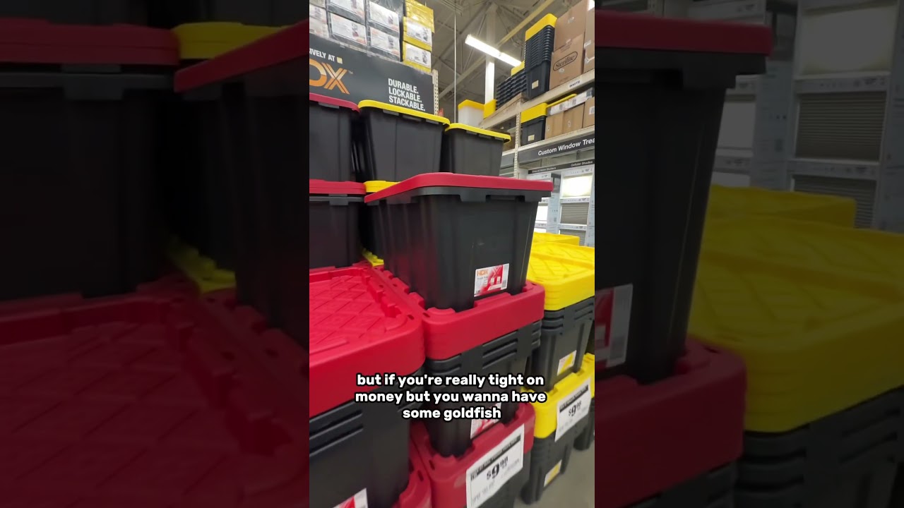 Do NOT buy a glass fish tank&hellip;