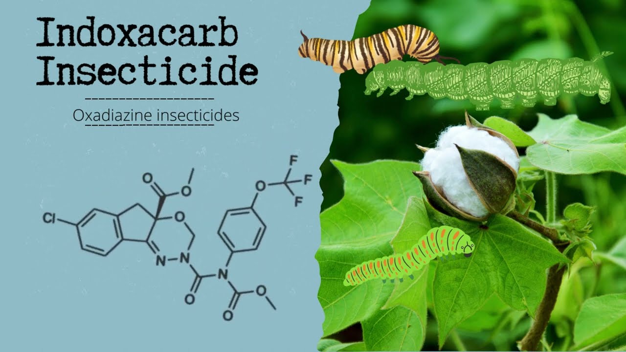 Indoxacarb: A Potent Insecticide for Sustainable Pest Management