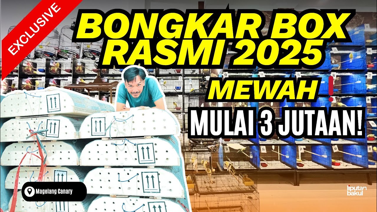 BANJIR RASMI MEWAH HASIL COLOKAN DARI IRAN‼️YS-SF-BB-GB MAGELANG CANARY READY 🔥