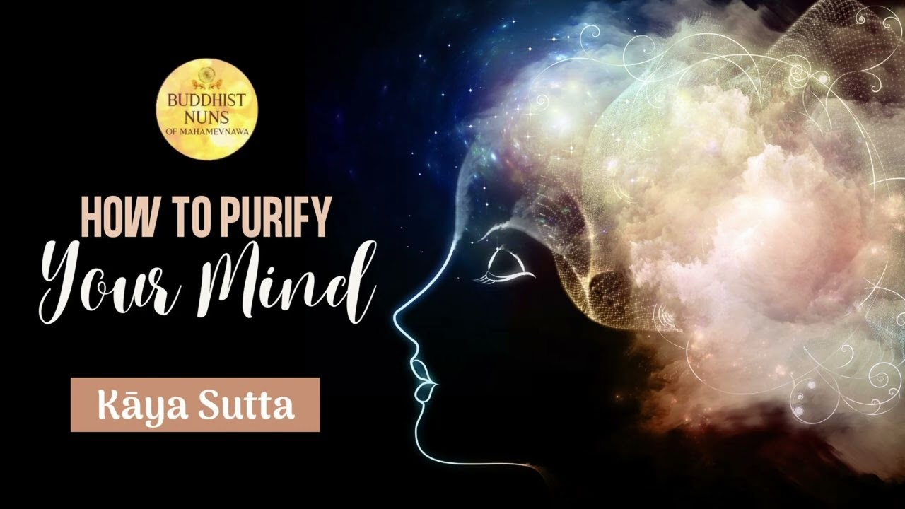 Kāya Sutta | Sutta Study with Buddhist Nuns