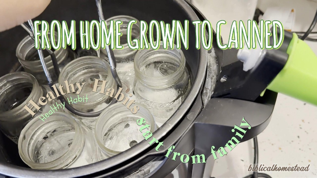 The Blessing of the Harvest: Canning FIRST-YEAR HARVEST of Tomatoes 🍅 | Biblical Homestead
