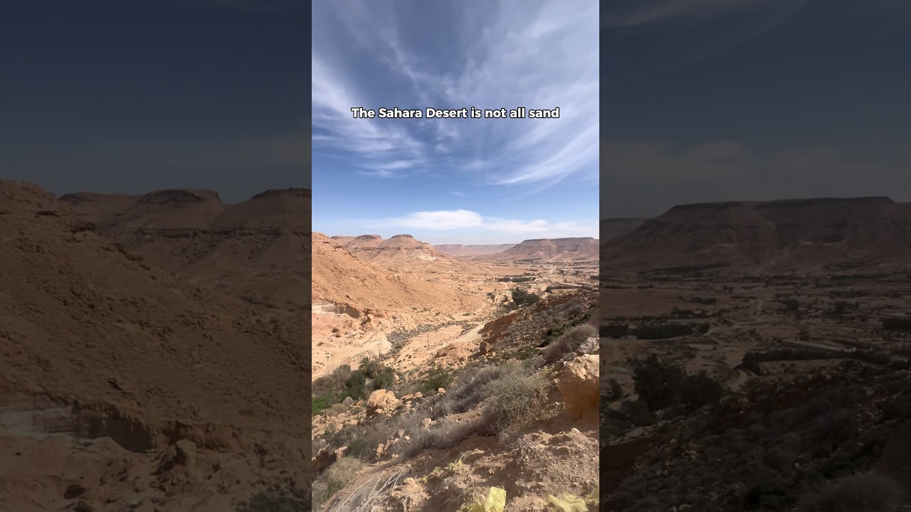 The Sahara desert is not what you expected