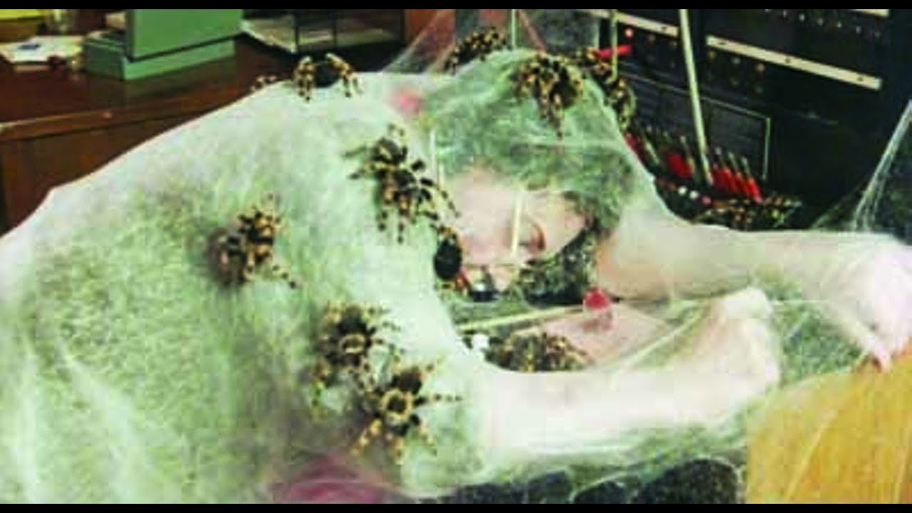 Countdown to Halloween 2020: Kingdom of the Spiders (1977)
