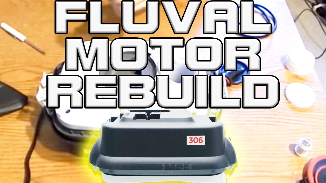 DIY Fluval Motor Rebuild [Clean & Maintenance]