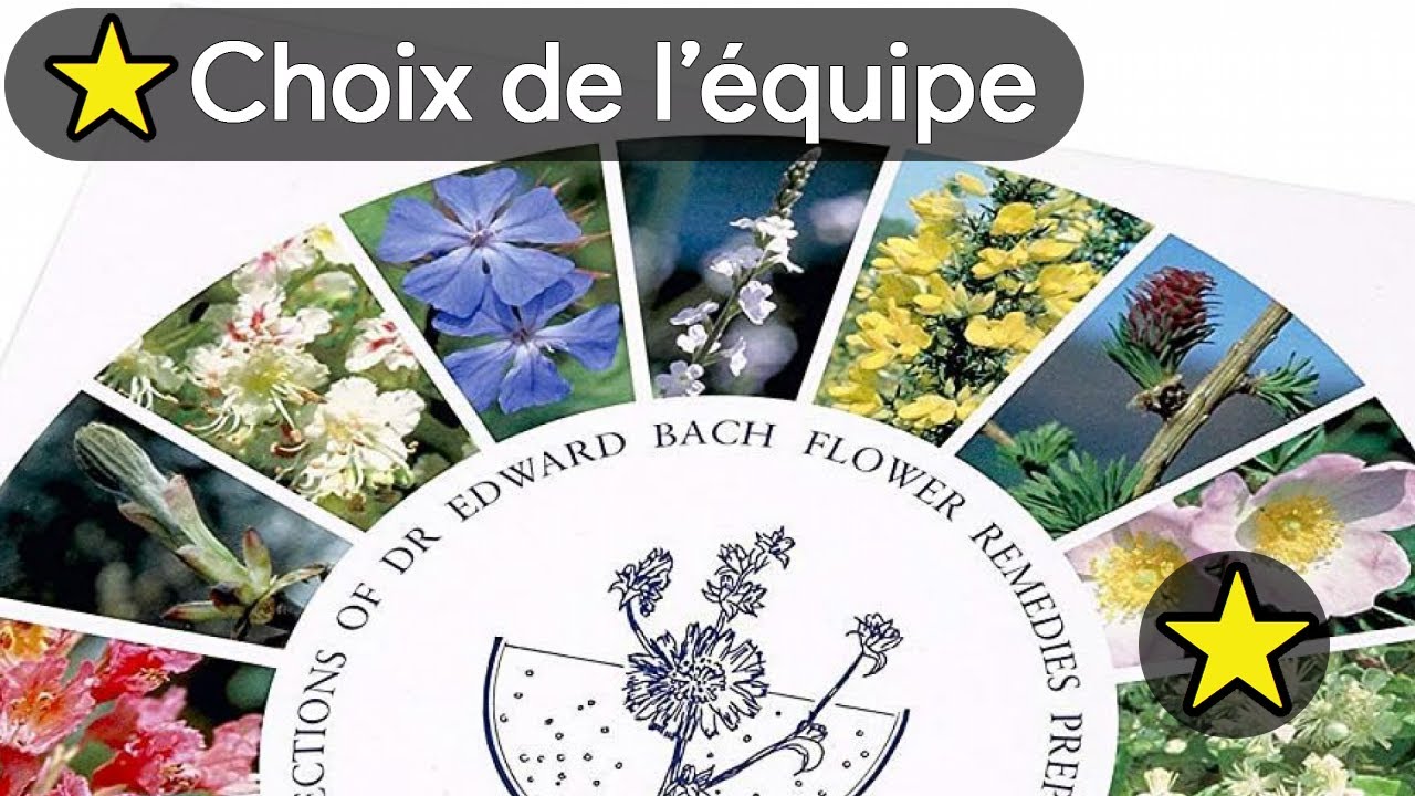 🏆 TOP 3 MEILLEUR COFFRET FLEUR DE BACH 2025 🌼