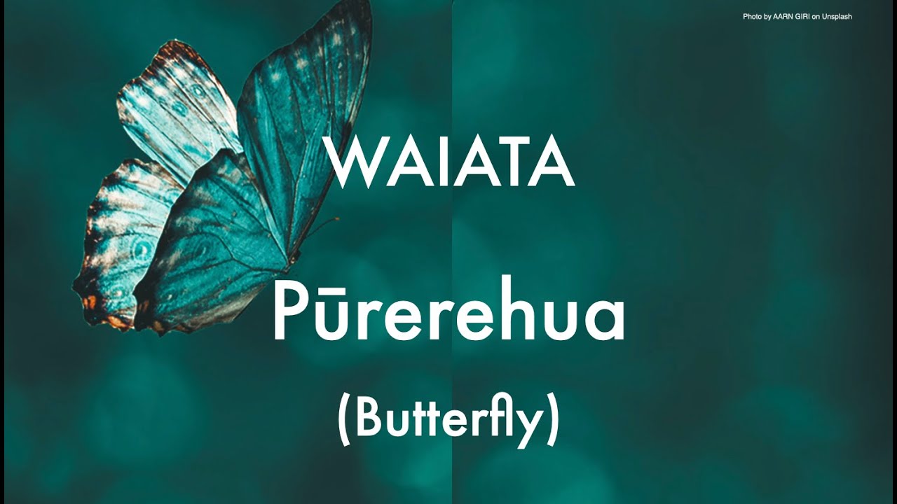 Pūrerehua Waiata