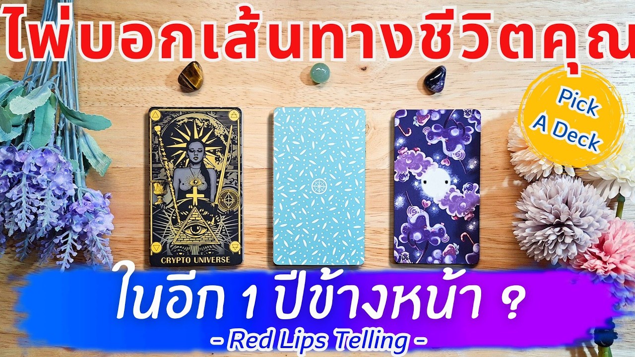 Pick A Deck : ไพ่บอกเส้นทางชีวิตคุณในอีก 1 ปีข้างหน้า? [ Timeless ]