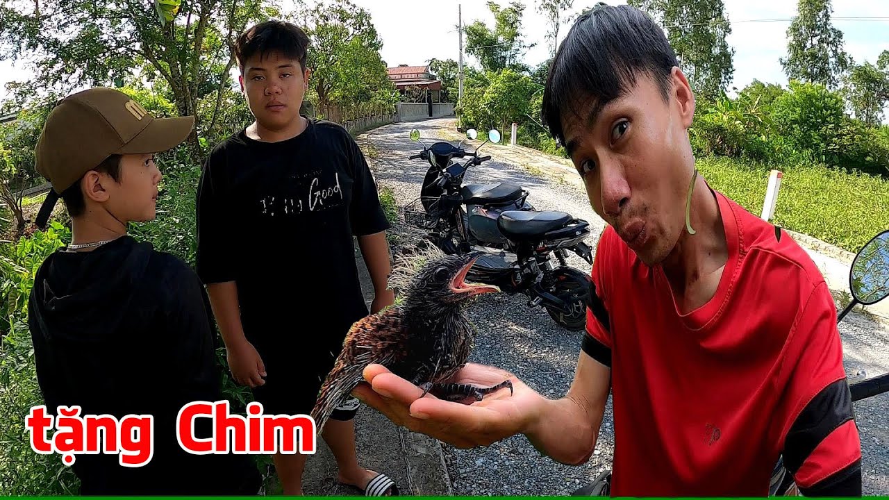 Đi bắt Tổ Chim về tặng Fan, tổ chim cuối m&ugrave;a đẹp qu&aacute;