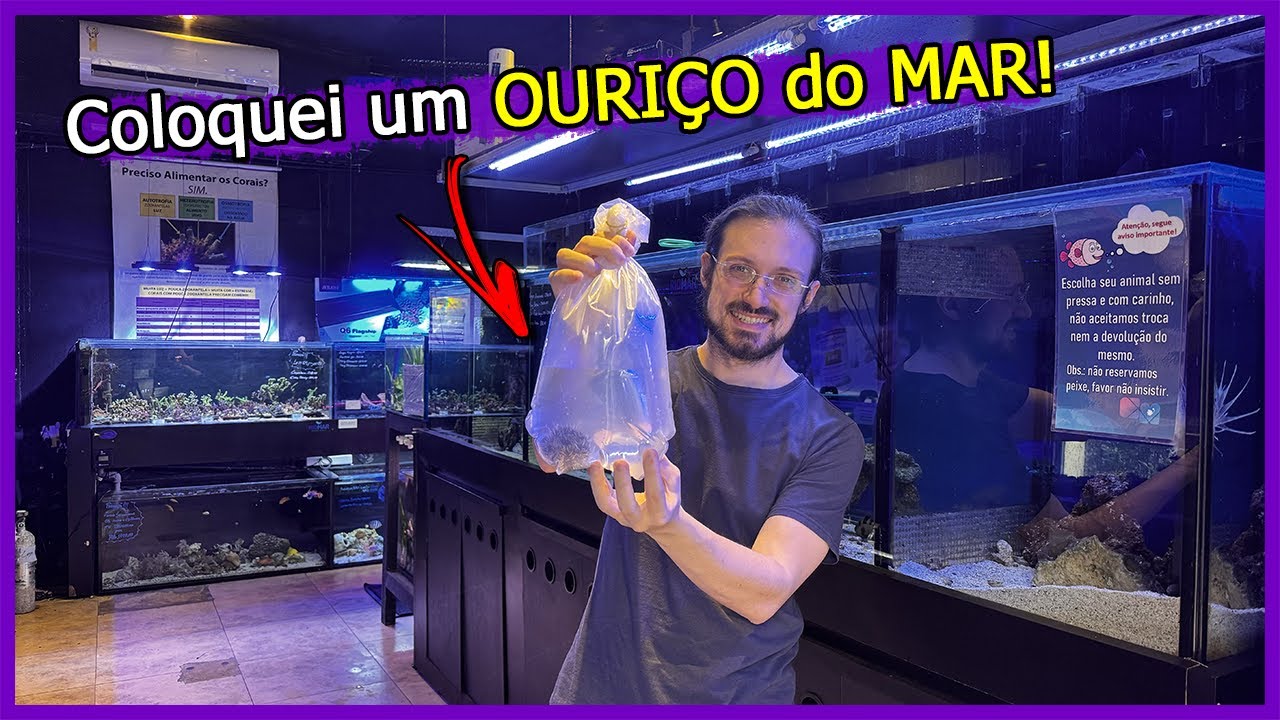 Coloquei um OURIÇO no meu Aquário Marinho e tive uma SURPRESA!