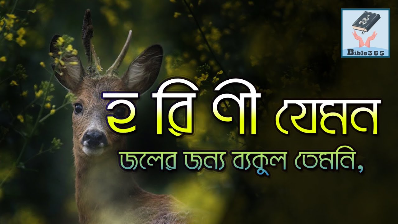 হরিণী যেমন জলের জন্য ব্যাকুল  | horini jamon joler jonno | SUBSCRIBE@bi365