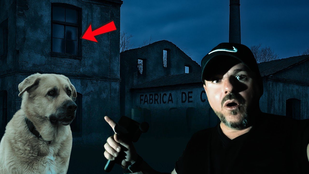 Algo se Asomó en la Ventana... Investigación Paranormal Real