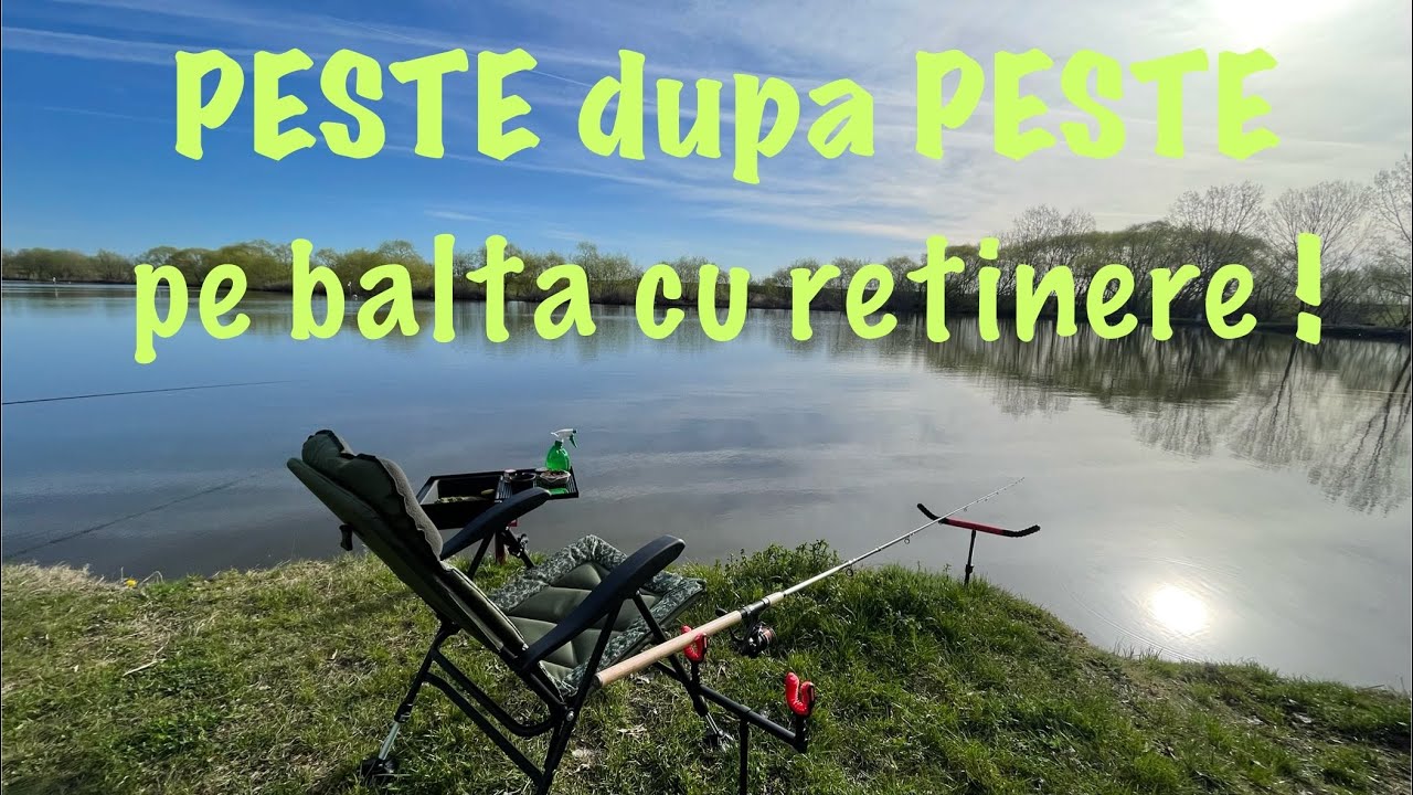 Am pescuit la crap si caras pe balta cu retinere langa Bucuresti 29 martie 2024