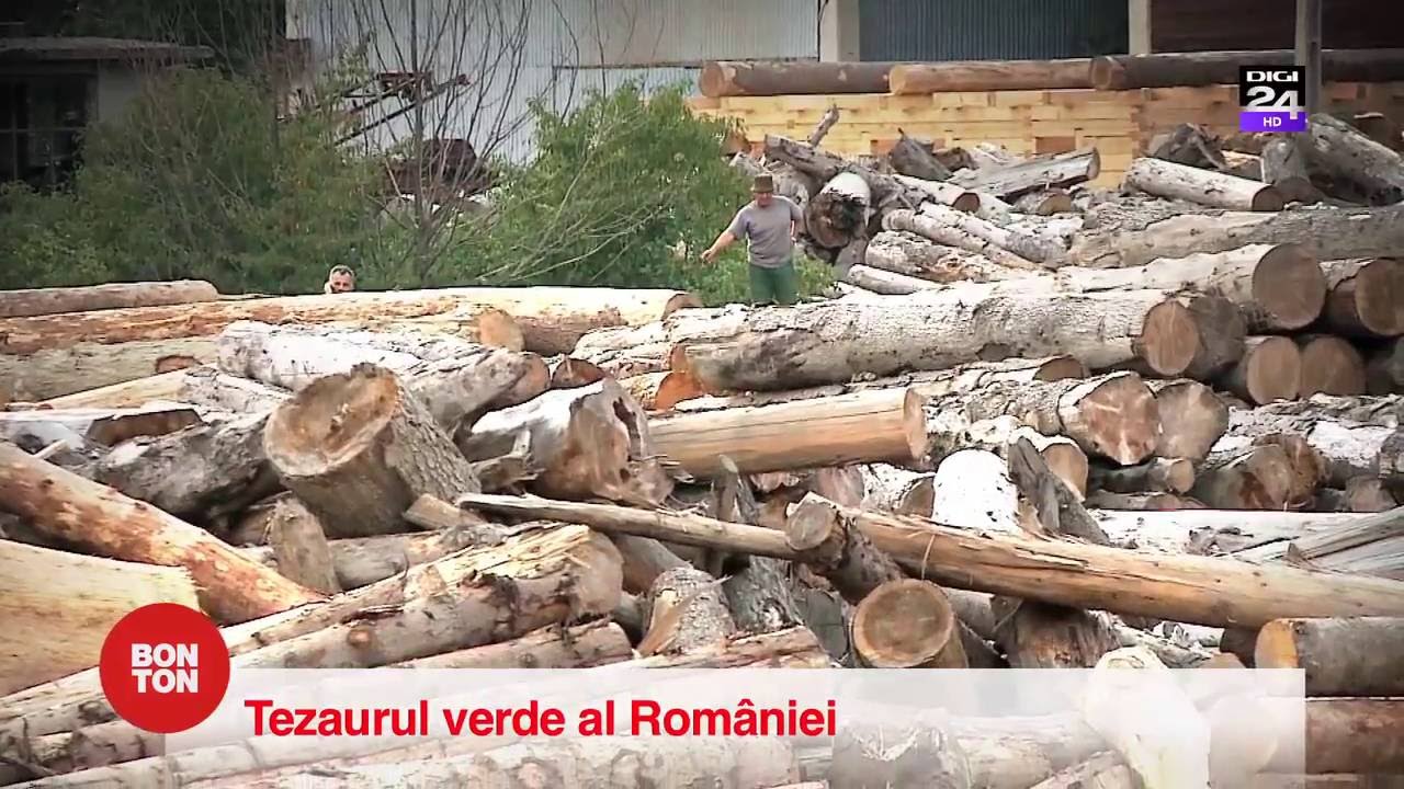 Agent Green, ecologistul care ne păzește pădurile