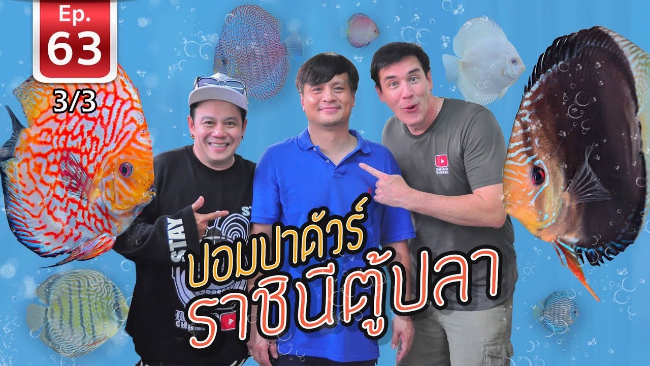 Discus ปอมปาดัวร์ ราชินีตู้ปลา - เพื่อนรักสัตว์เอ้ย EP 63 [3/3]