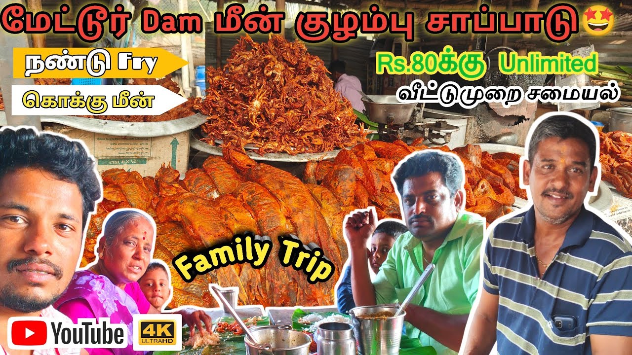 மேட்டூர் டேம்  மீன் குழம்பு சாப்பாடு | வீட்டுமுறை சமையல் | Family Trip|#Metturdam#Fishdish#trip#park