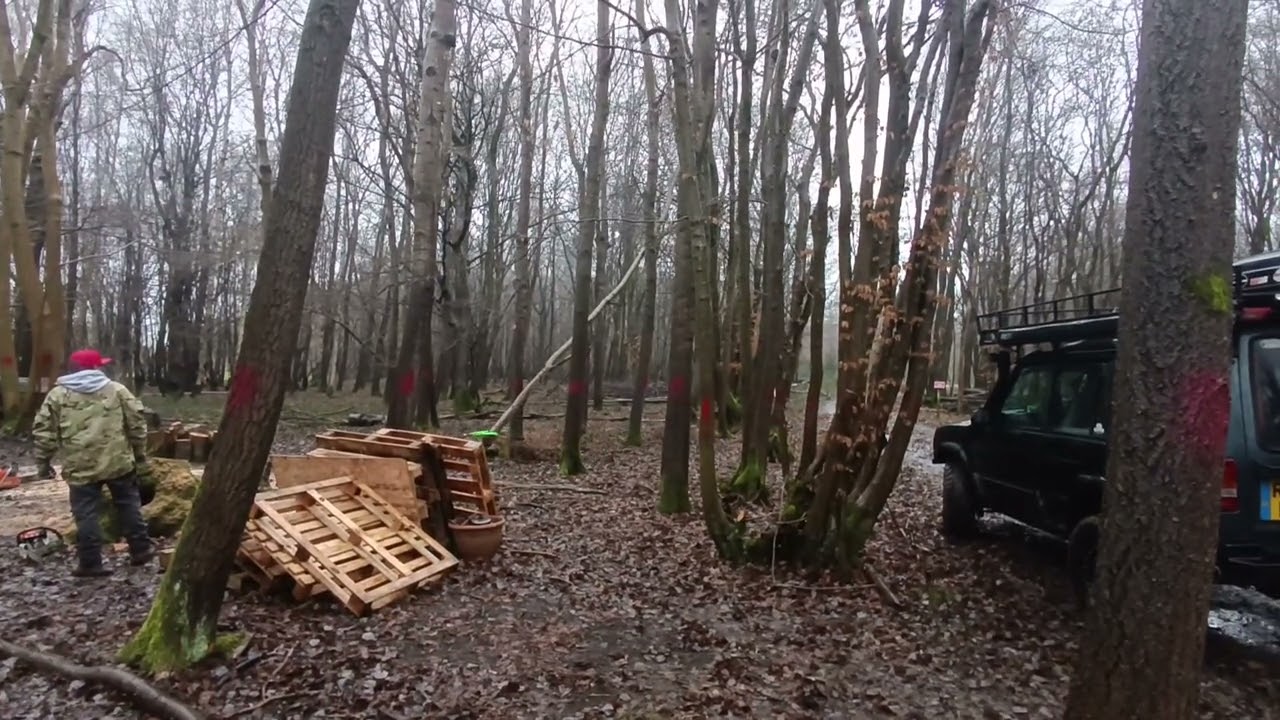 Winching Hung up tree 