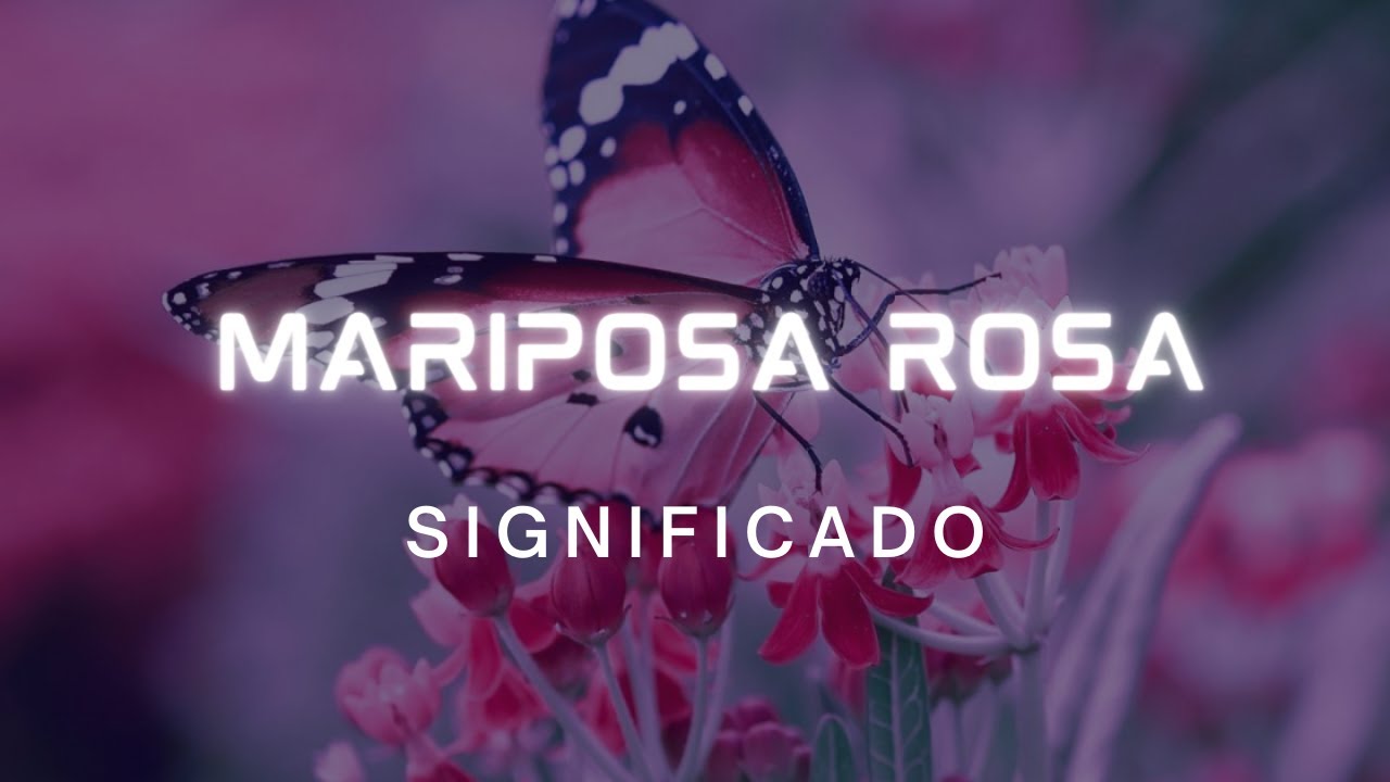 🦋&iquest;Cual es el significado de la mariposa Rosa?🦋